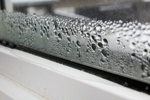Misted Glass
